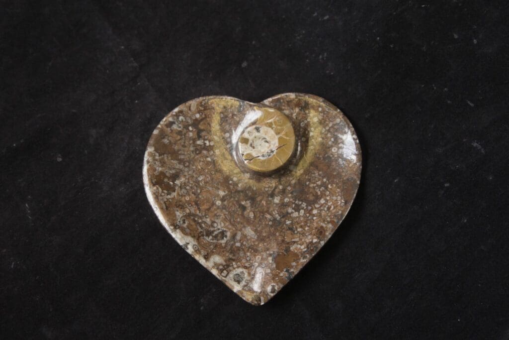 Ammonite Heart Tray