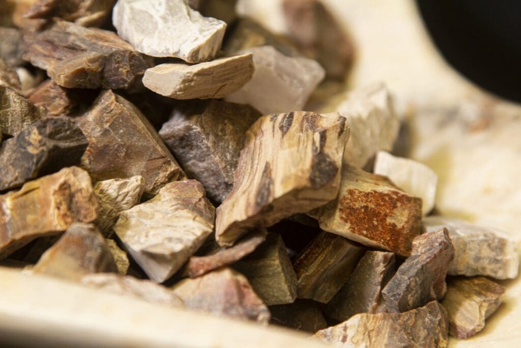 Petrified Wood Rough Pieces 1lb