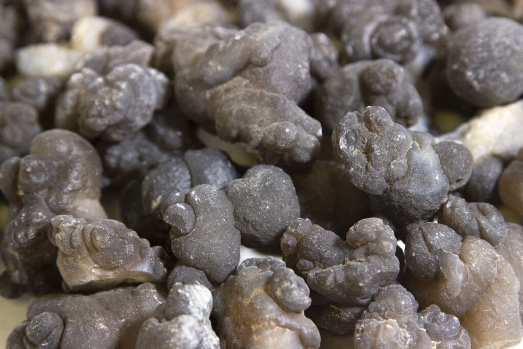 Botryoidal Chalcedony Nodules, 1lb, Womb Balls