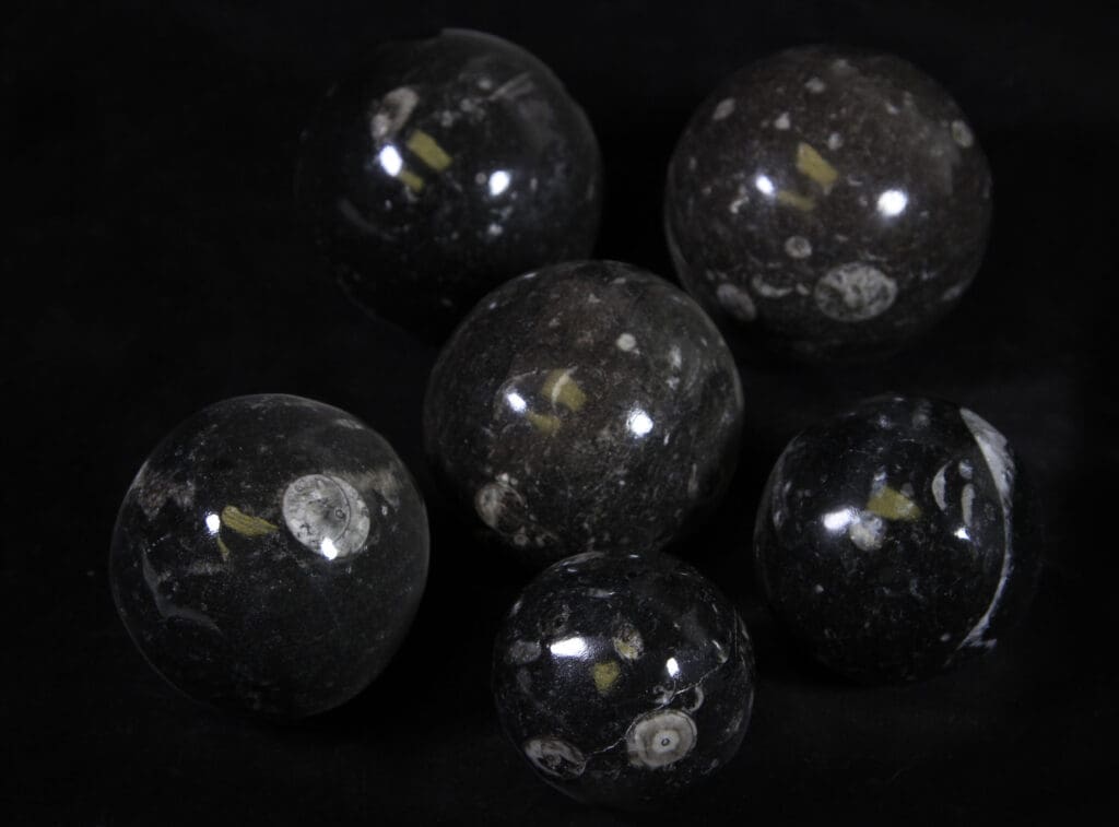 Orthoceras Spheres (Individual Piece)