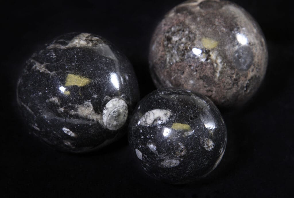 Orthoceras Spheres (Individual Piece)