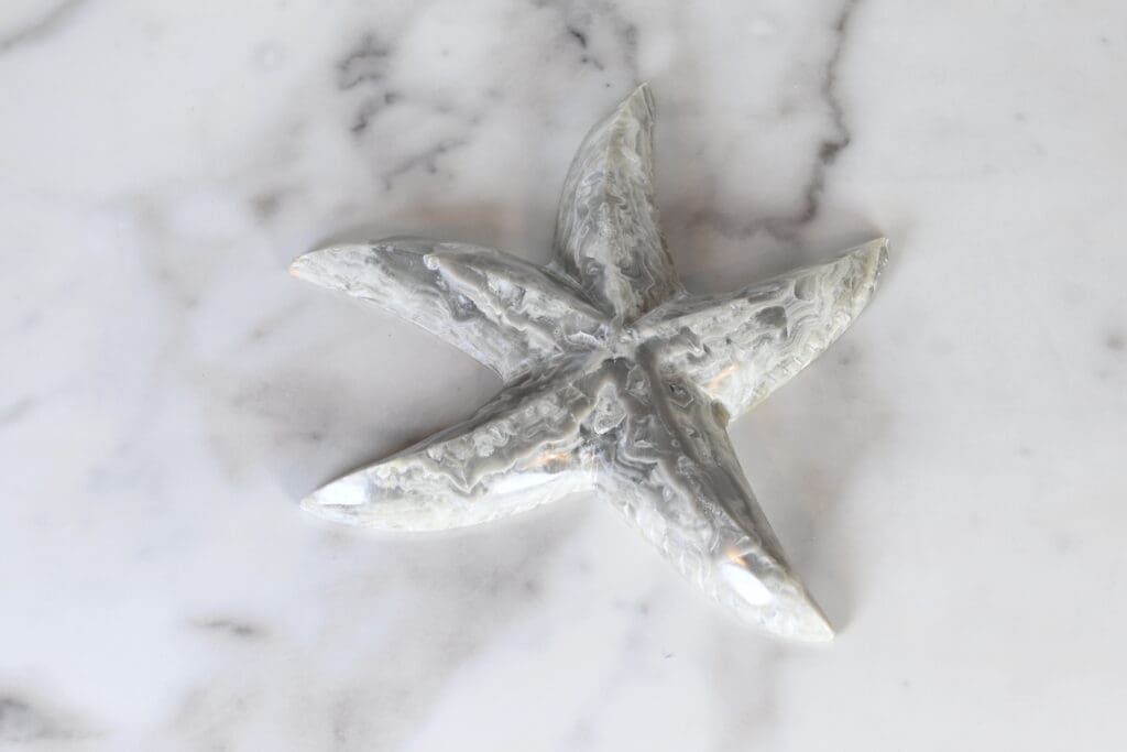 Marble Starfish 3" - Turtleman Foundation Purchase (One Starfish)