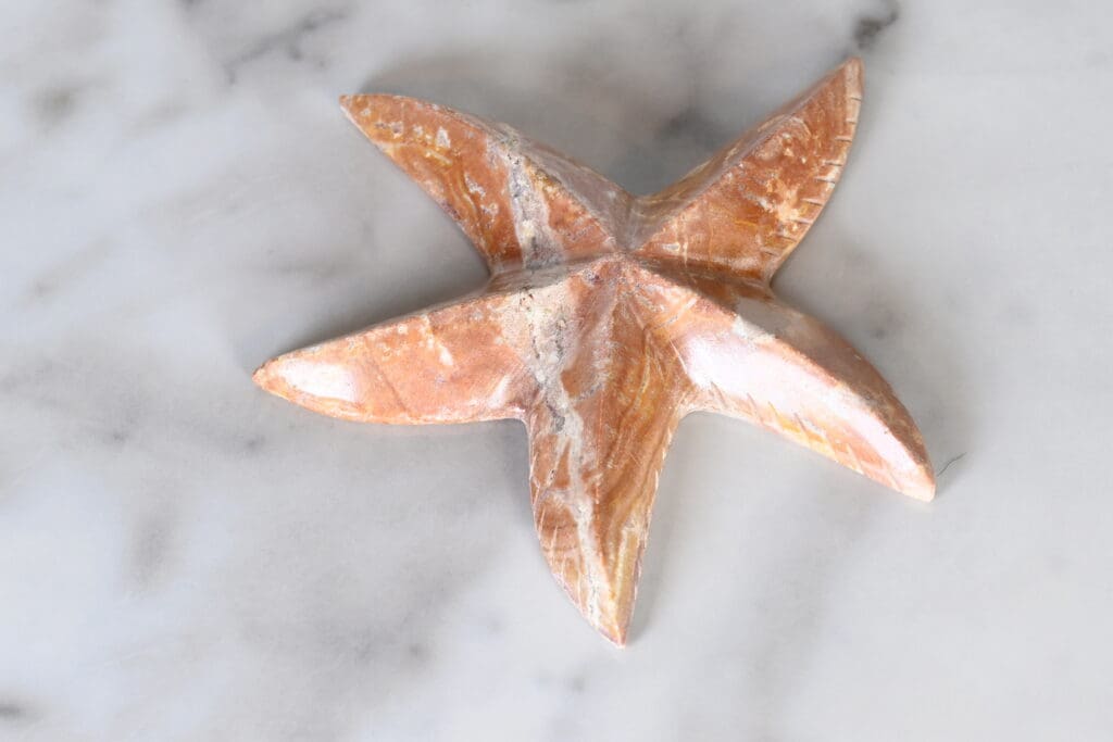 Marble Starfish 5" (One Starfish)