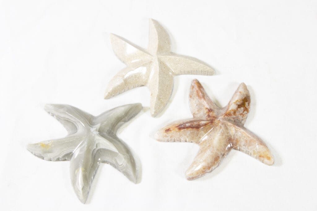 Marble Starfish 3" - Turtleman Foundation Purchase (One Starfish)