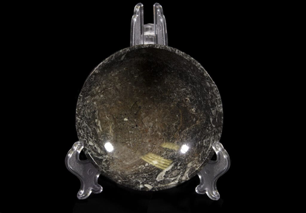 Ammonite and Orthoceras Bowl