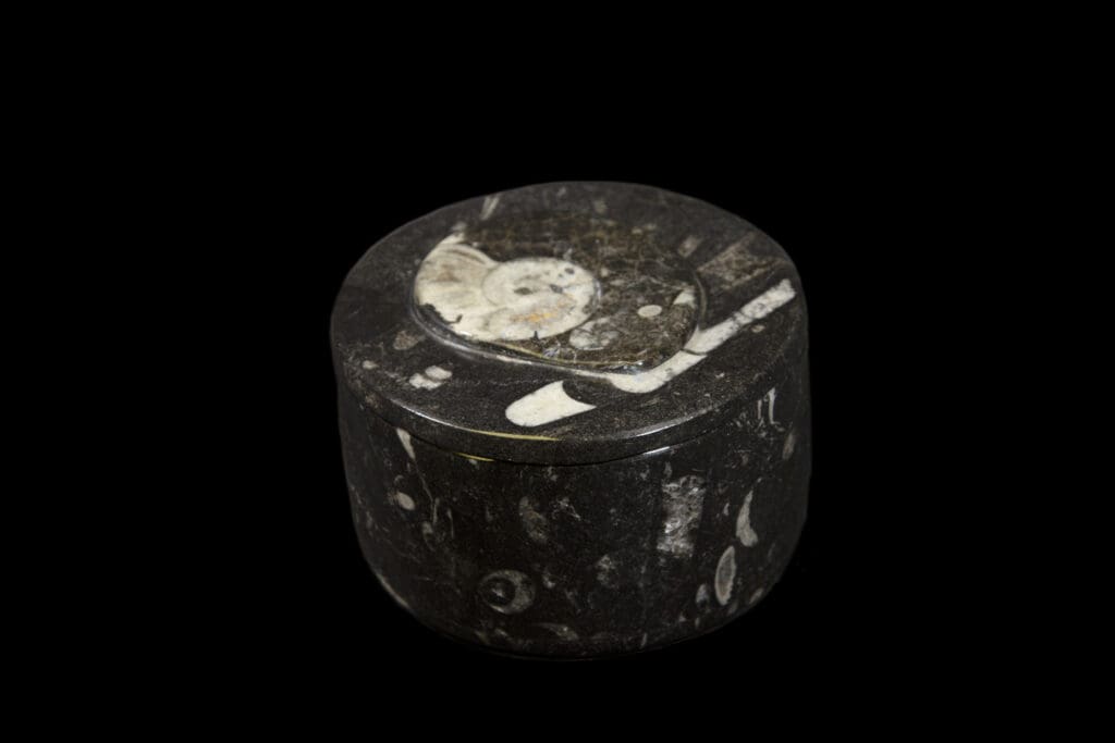 Round Orthoceras Trinket Box
