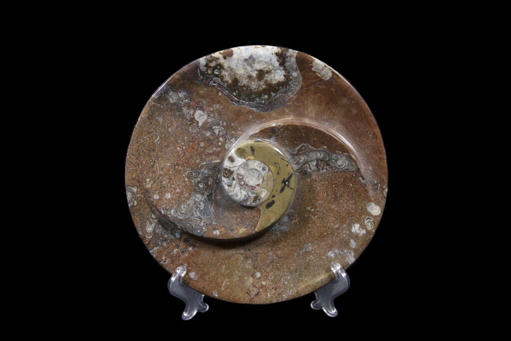 Brown Ammonite Round Spiral Dish