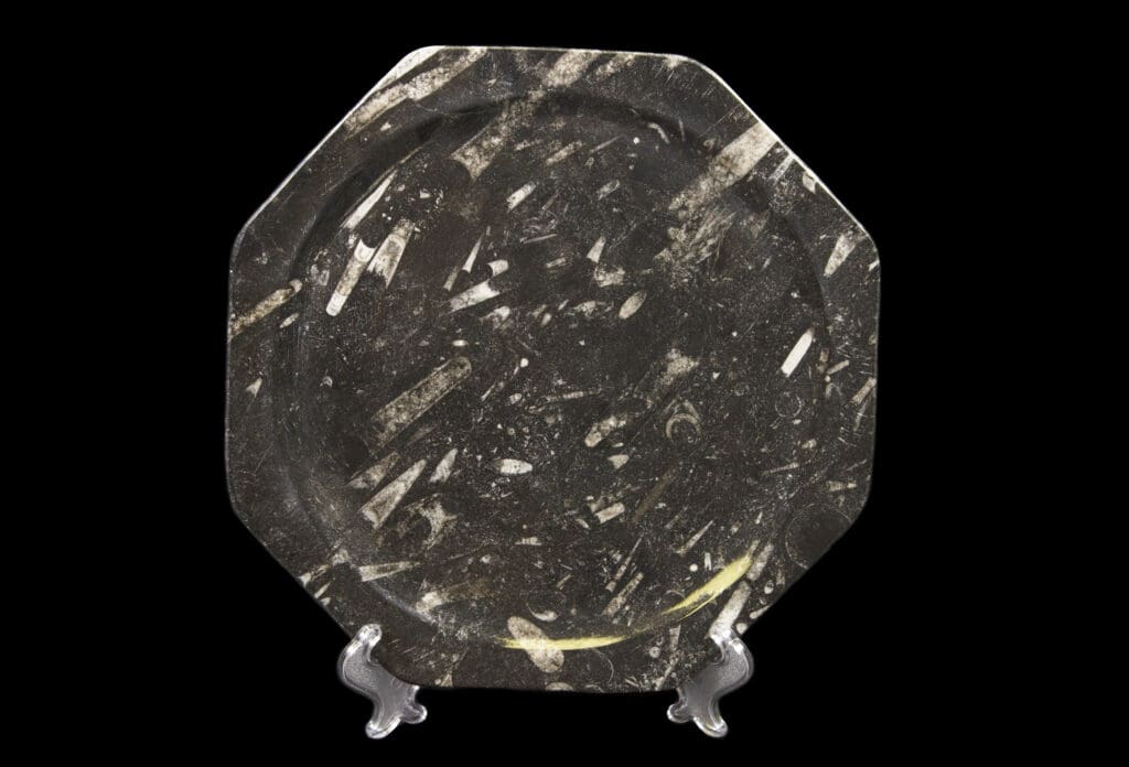 Black Octagonal Orthoceras Plate