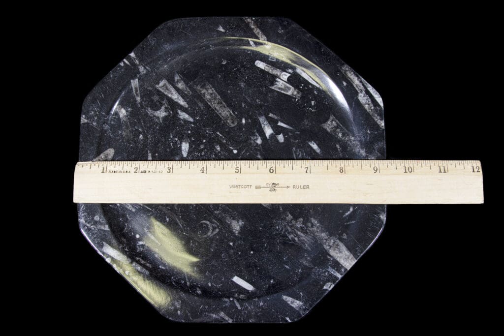 Black Octagonal Orthoceras Plate