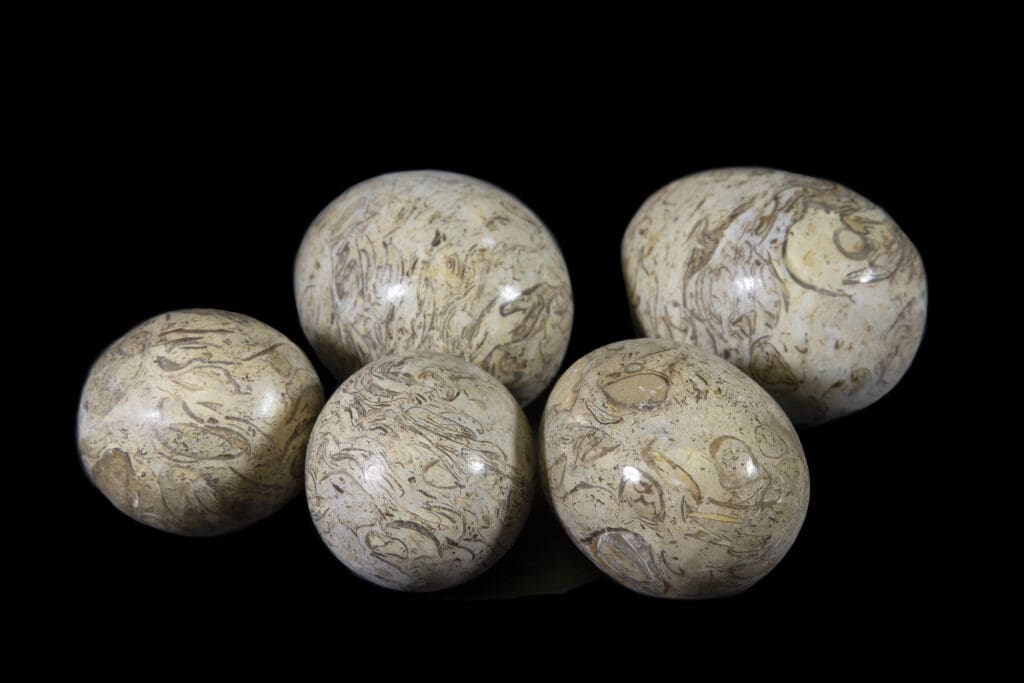 Onyx Polished Eggs (One Egg)