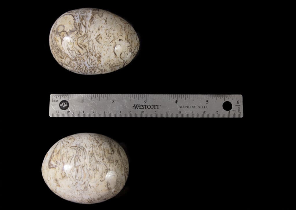 Onyx Polished Eggs (One Egg)