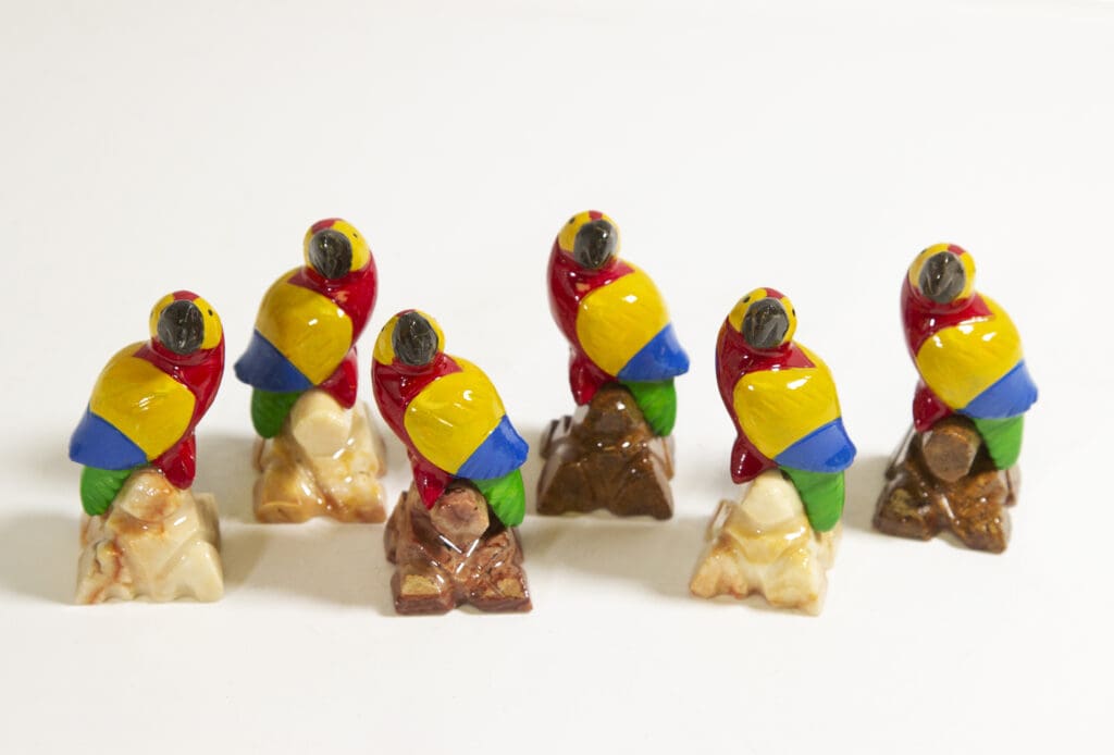 Marble Macaw Parrot