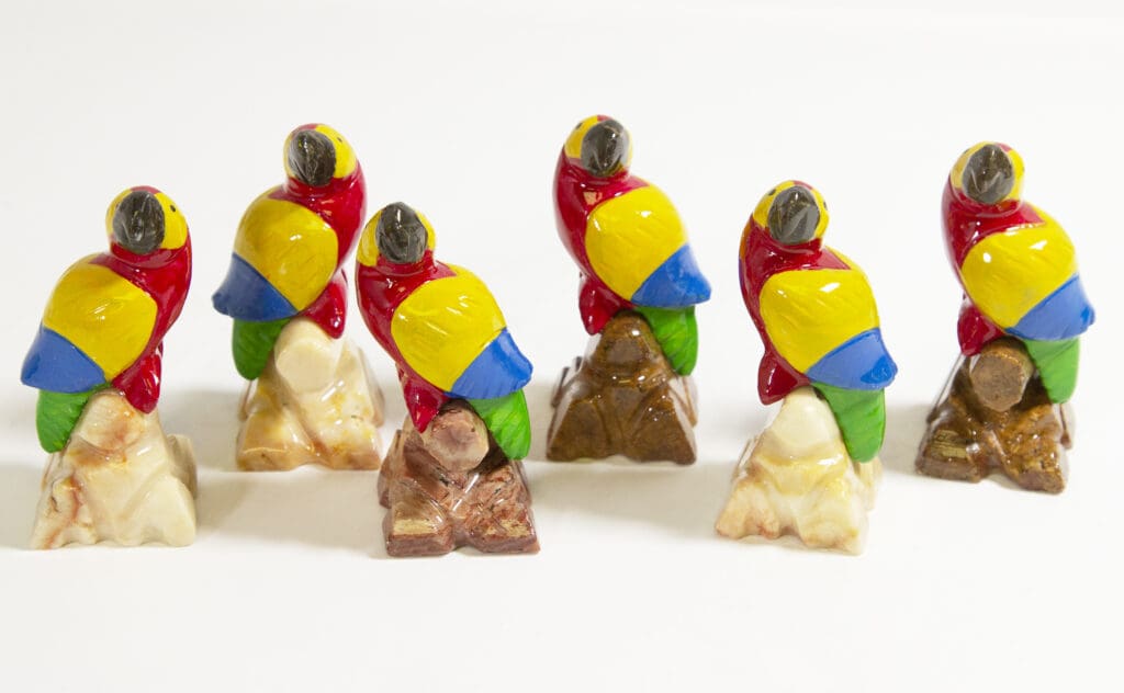 Marble Macaw Parrot