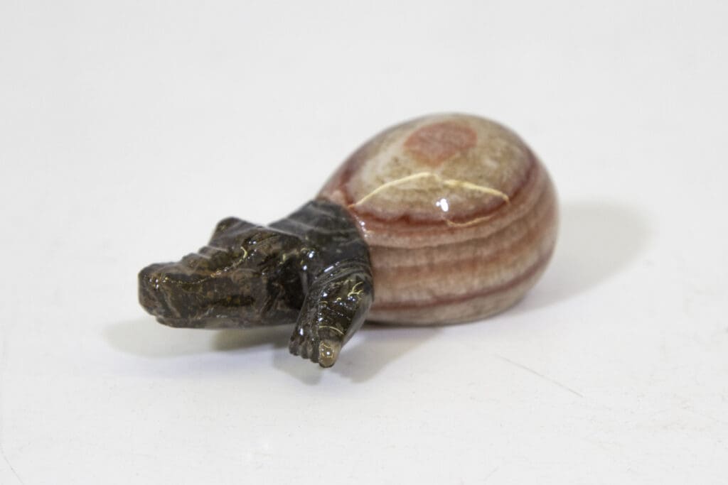 Marble Crocodile Hatchling
