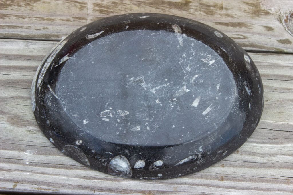 Ammonite/Orthoceras oval dish