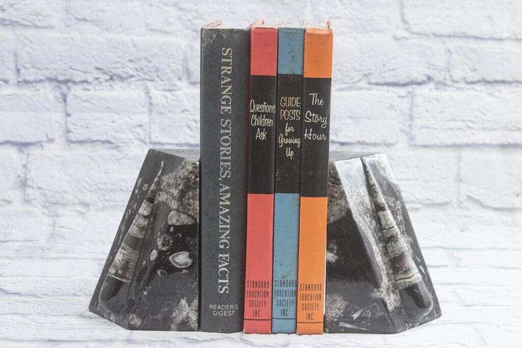 Extra Large Orthoceras Fossil Bookends
