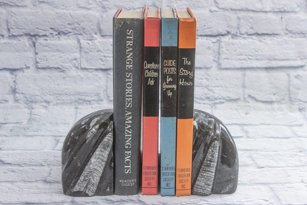 Small Round Orthoceras Bookends