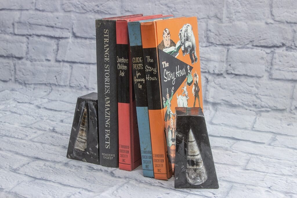 Orthoceras bookends