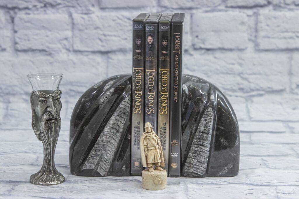 Small Round Orthoceras Bookends