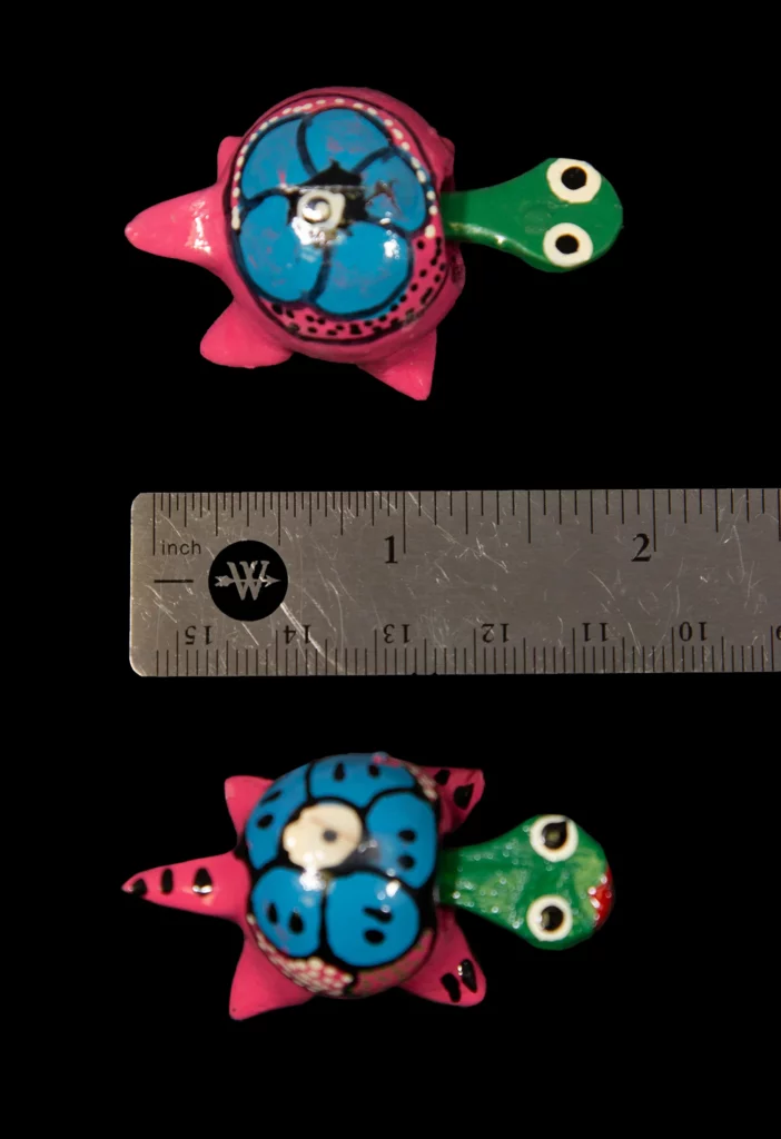 LooseNeck Turtles