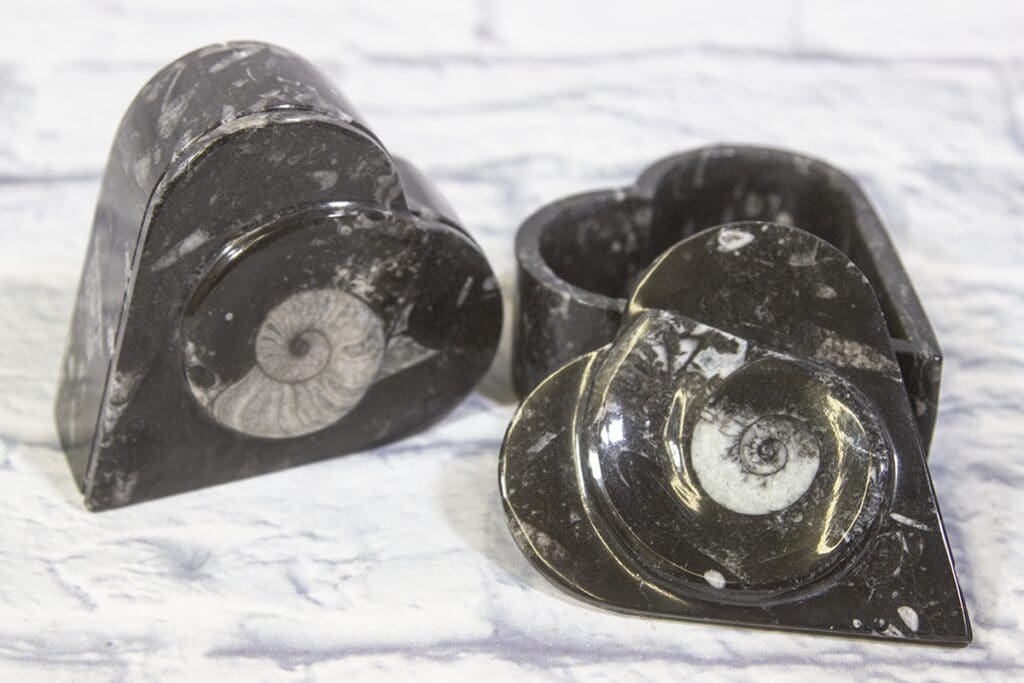 Orthoceras Heart Trinket Box